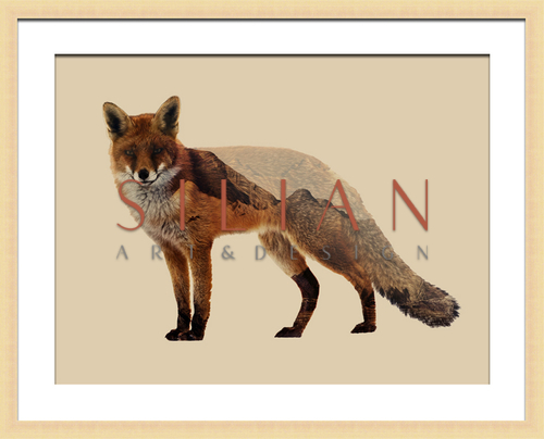 Fox II 