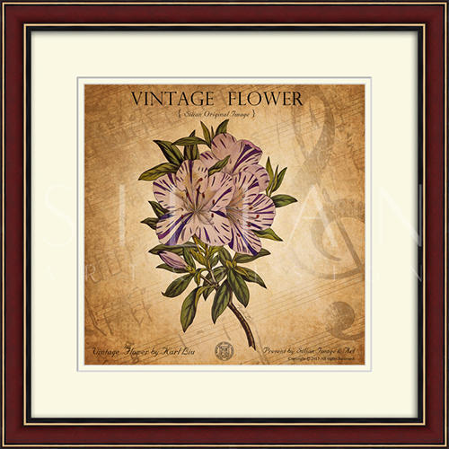 Vintage Flower II 