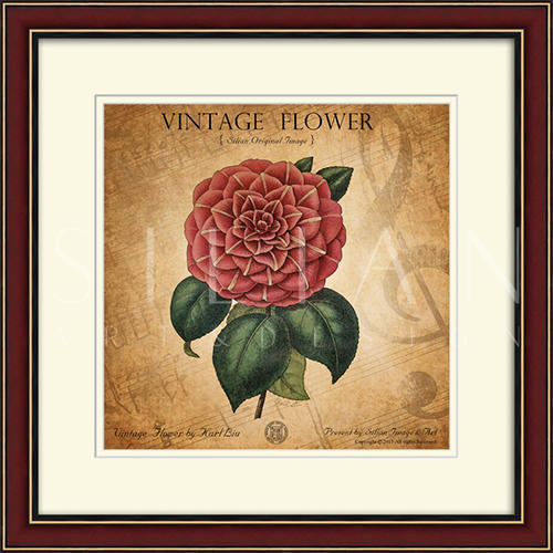 Vintage Flower IV