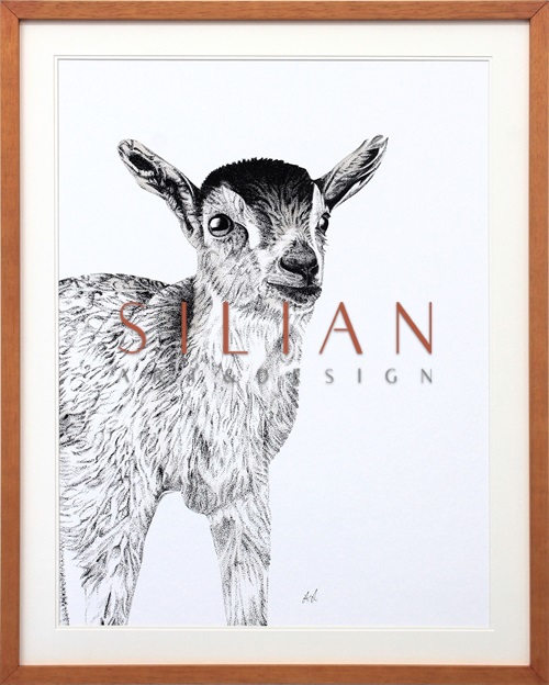 B & W Animal Portrait I