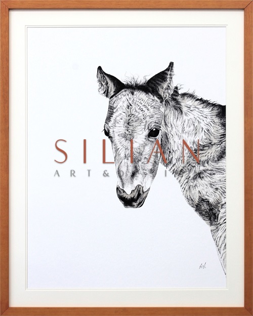 B & W Animal Portrait II