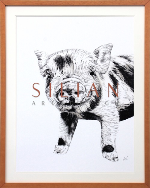 B & W Animal Portrait IV