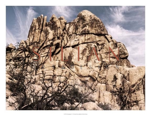 Outcroppings V
