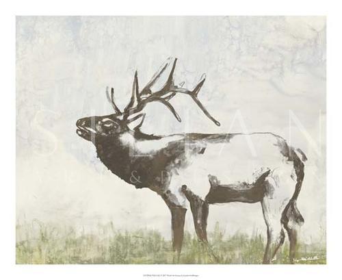 Wild Call I