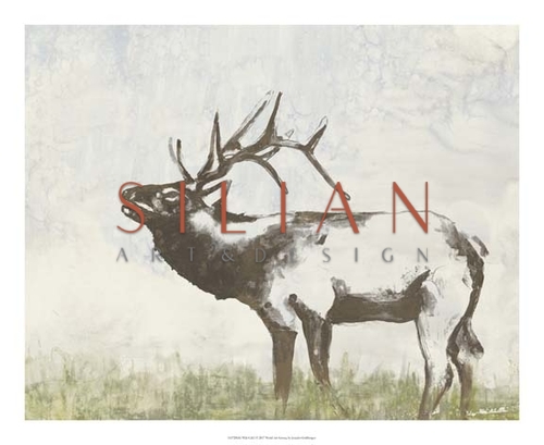 Wild Call I