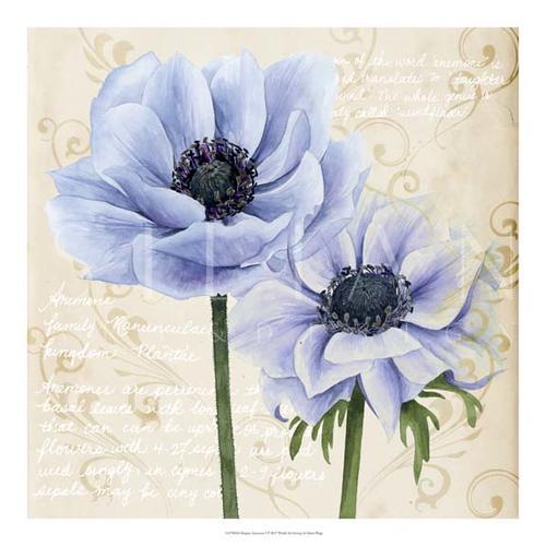 Elegant Anemone I