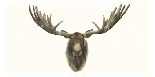 Moose Bust