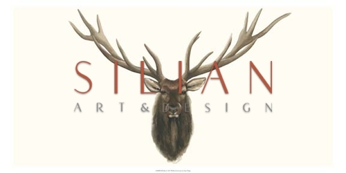 Elk Bust