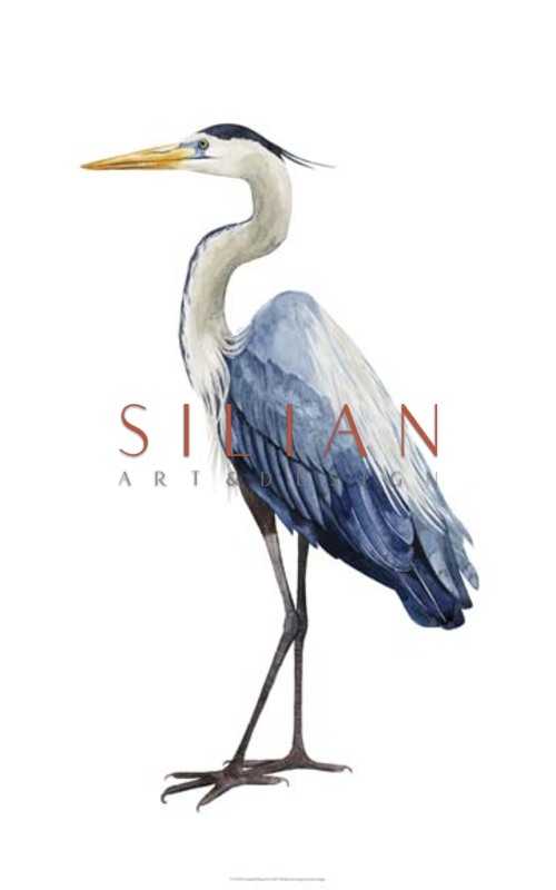 Seabird Heron I