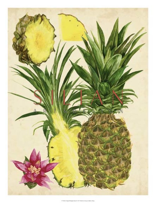 Tropical Pineapple Study II
