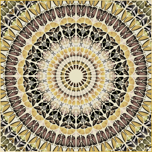 Mandala Pattern  II