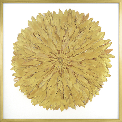 Feather on the Golden I