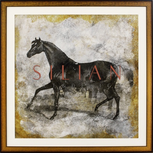 Black Horse I