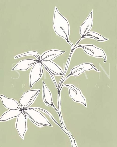 Botanic Drawing I