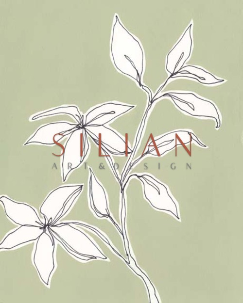 Botanic Drawing I