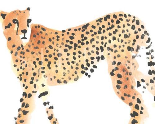 Majestic Cheetah II