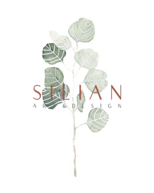 Soft Eucalyptus Branch I