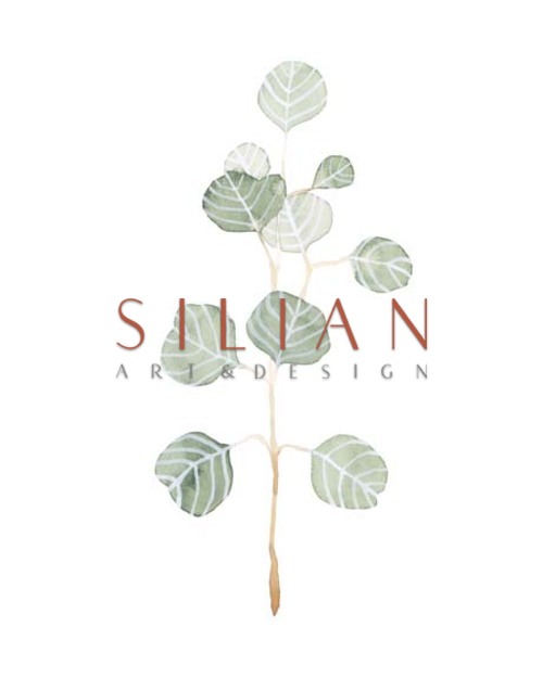Soft Eucalyptus Branch II