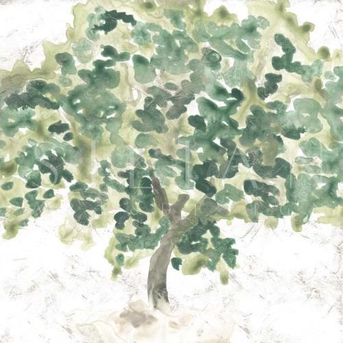Country Tree II