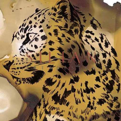 Leopard Portrait I