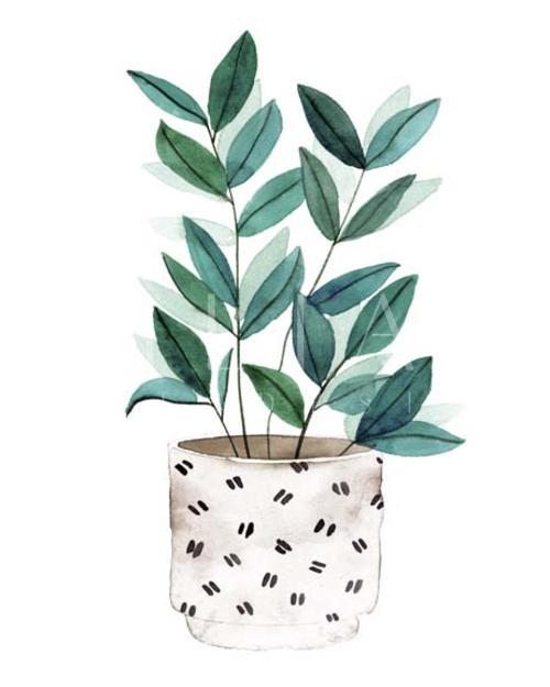 Plant in a Pot I