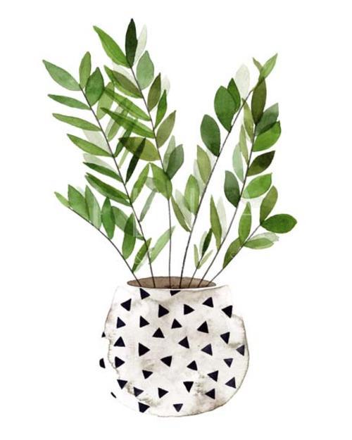 Plant in a Pot III