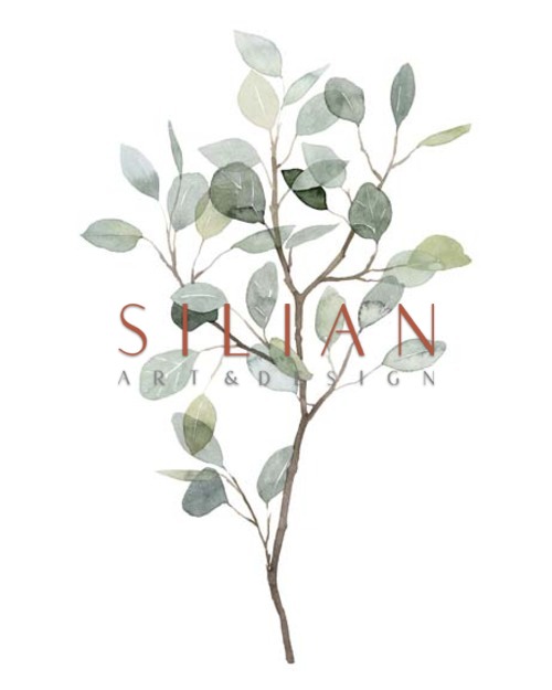 Seaglass Eucalyptus I