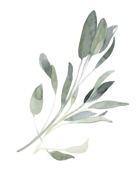 Simple Sage I