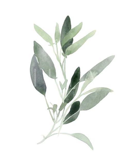 Simple Sage III