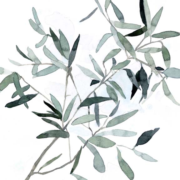 Serene Eucalyptus II