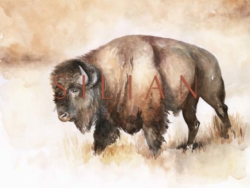 Buffalo Roam I