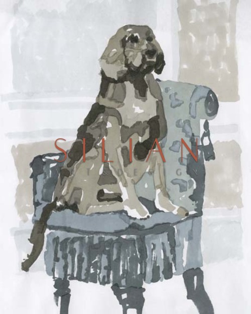 Dog Study V