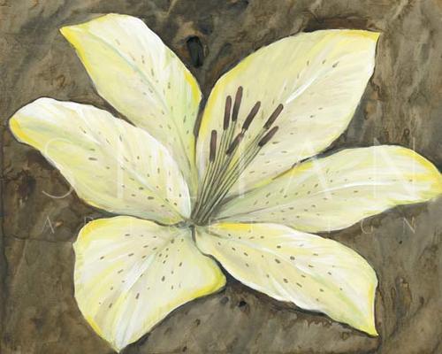 Neutral Lily I