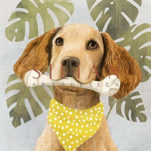 Pet Life III