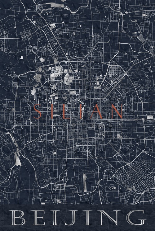 City Map I