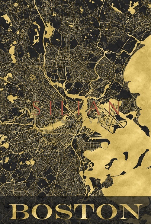 City Map II