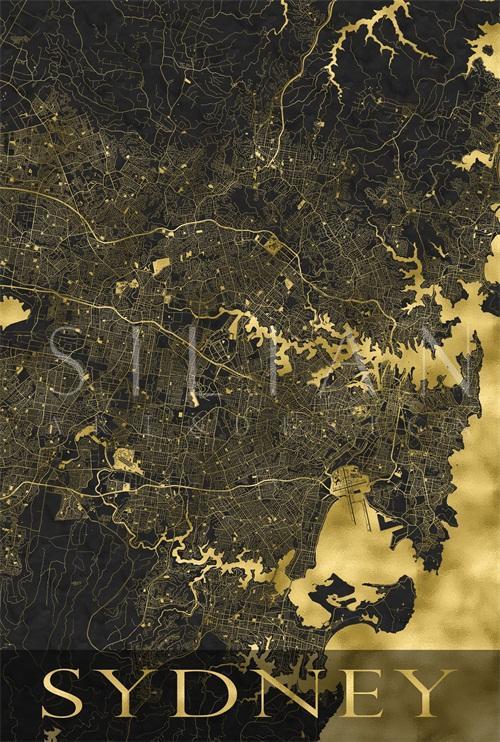 City Map V