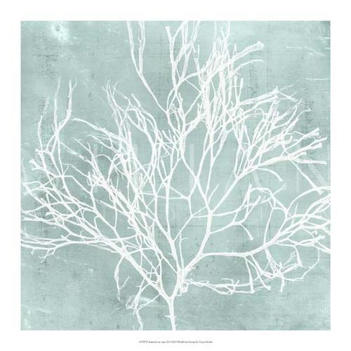 Seaweed on Aqua II
