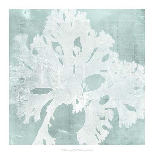 Seaweed on Aqua V