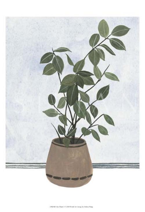 Mes Plants I