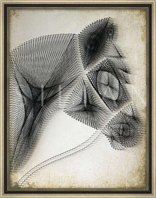 Equine  Contour I