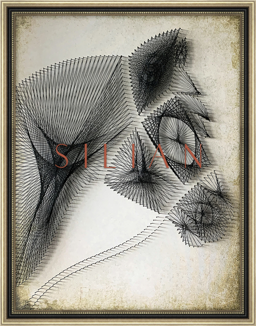 Equine  Contour I