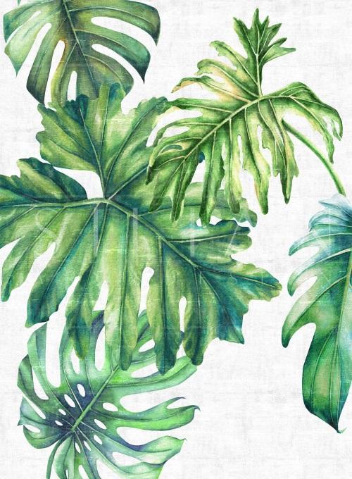 Sunset Fronds I