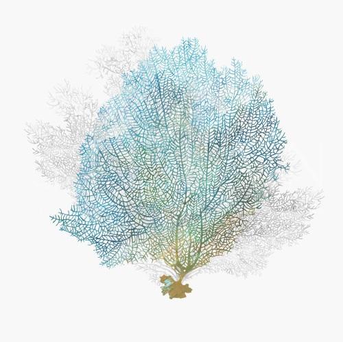 Abstract Coral Ⅲ