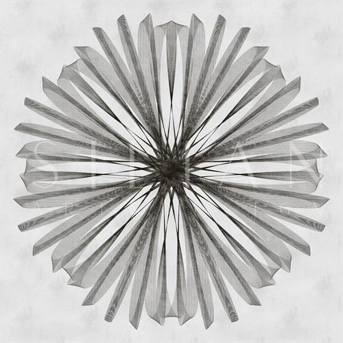 Connectivity II