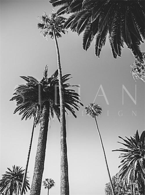 B&W  View I