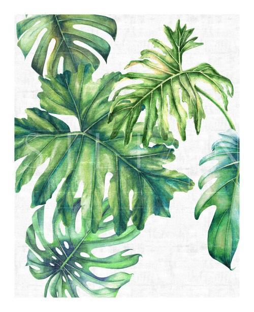 Sunset Fronds I