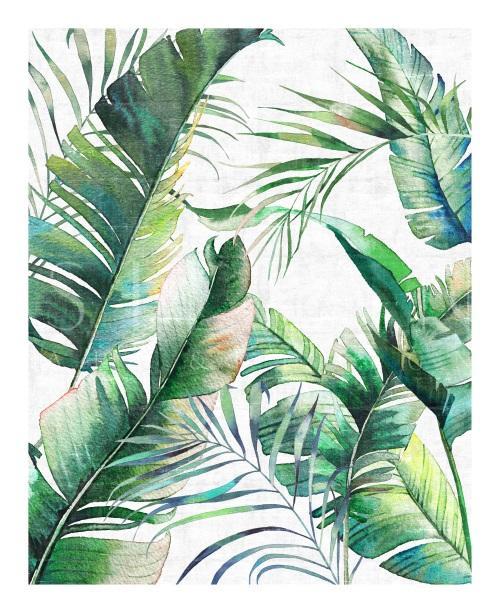 Sunset Fronds II