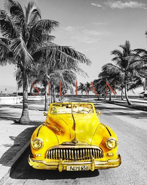Let's Go Away For Awhile II