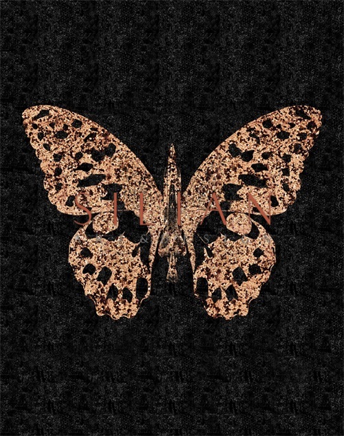  In the Time of the Butterflies‎ I